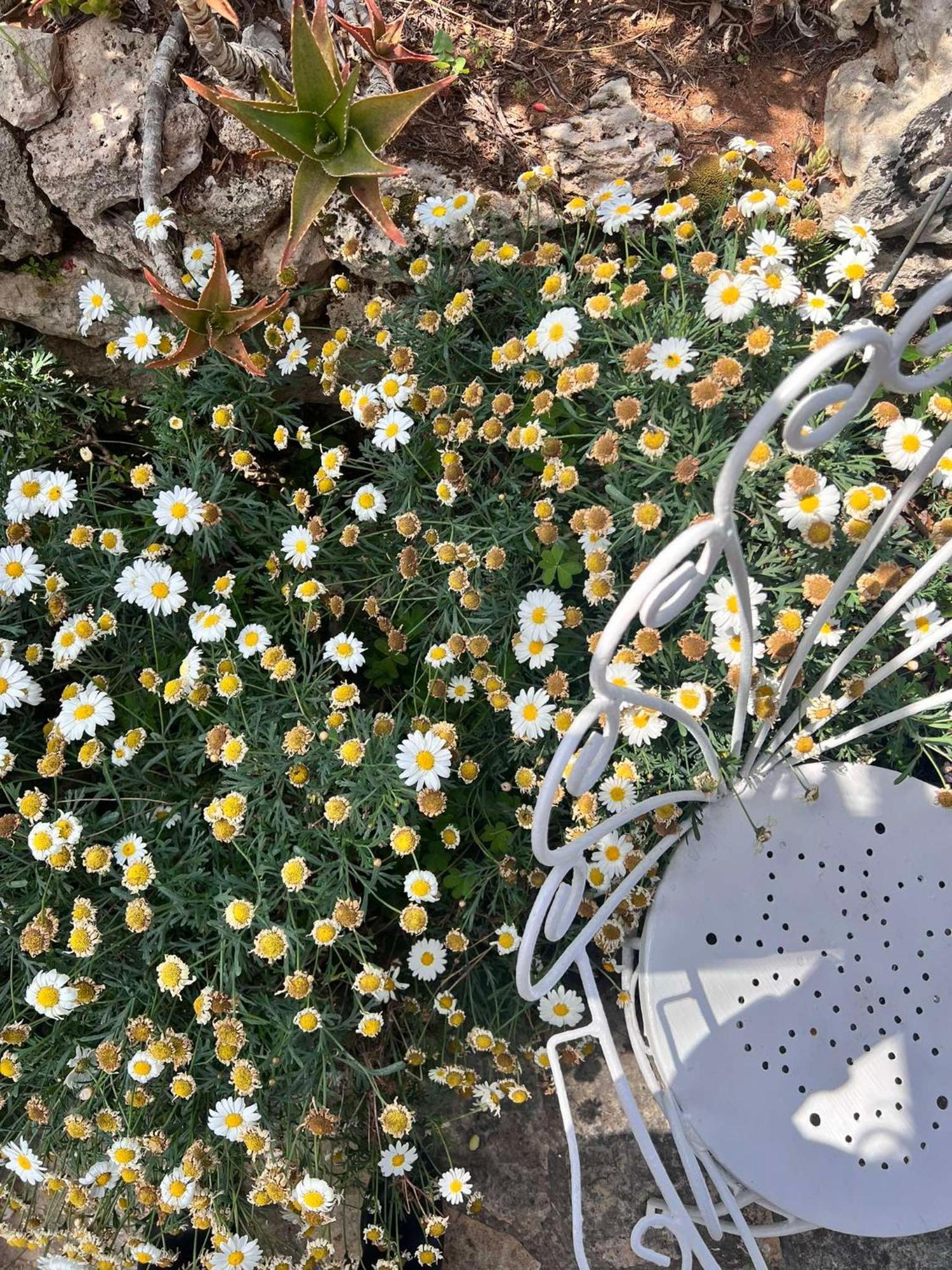 גאליפולי Villa Casa Vacanze Fiore מראה חיצוני תמונה