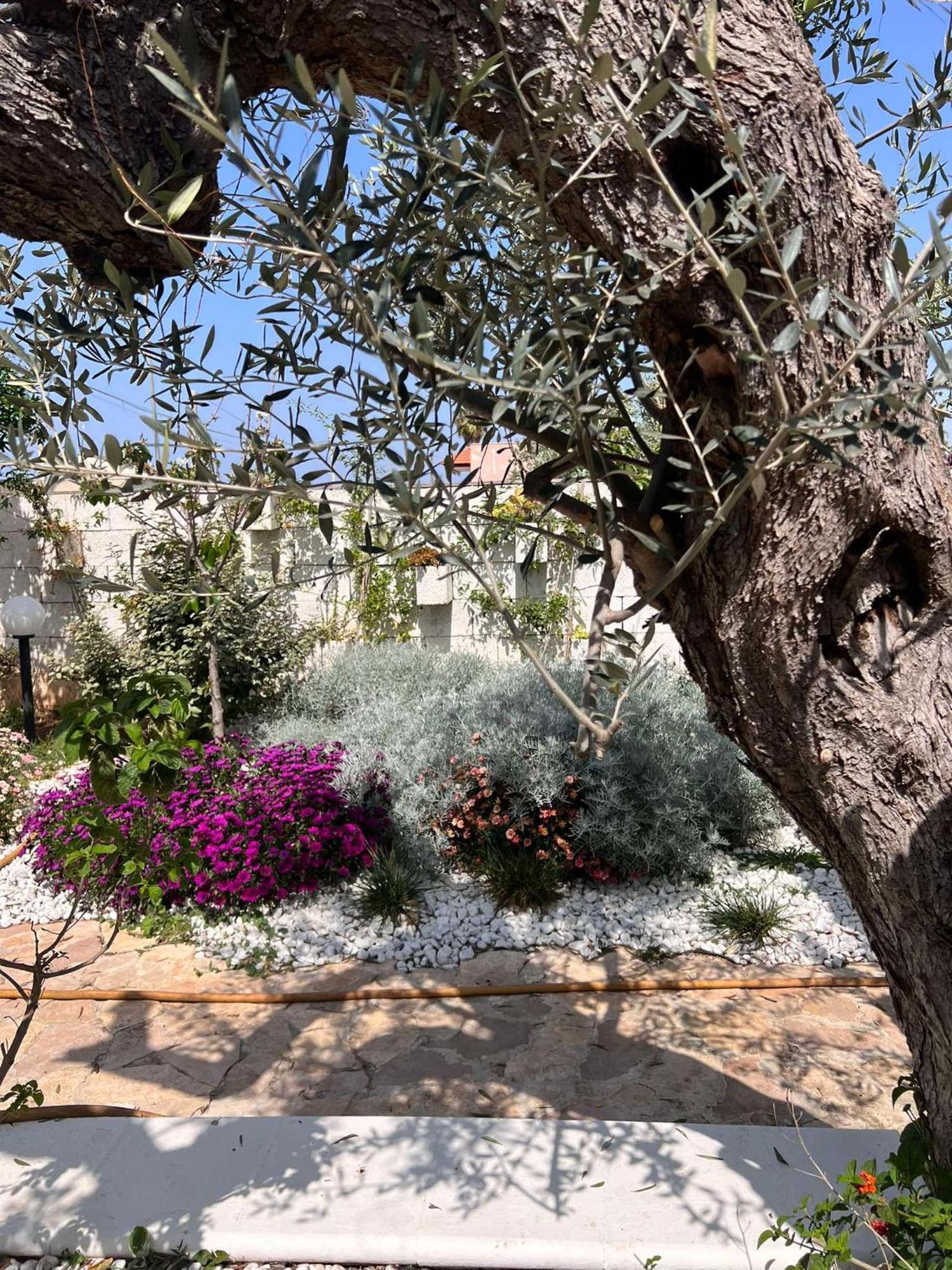 גאליפולי Villa Casa Vacanze Fiore מראה חיצוני תמונה