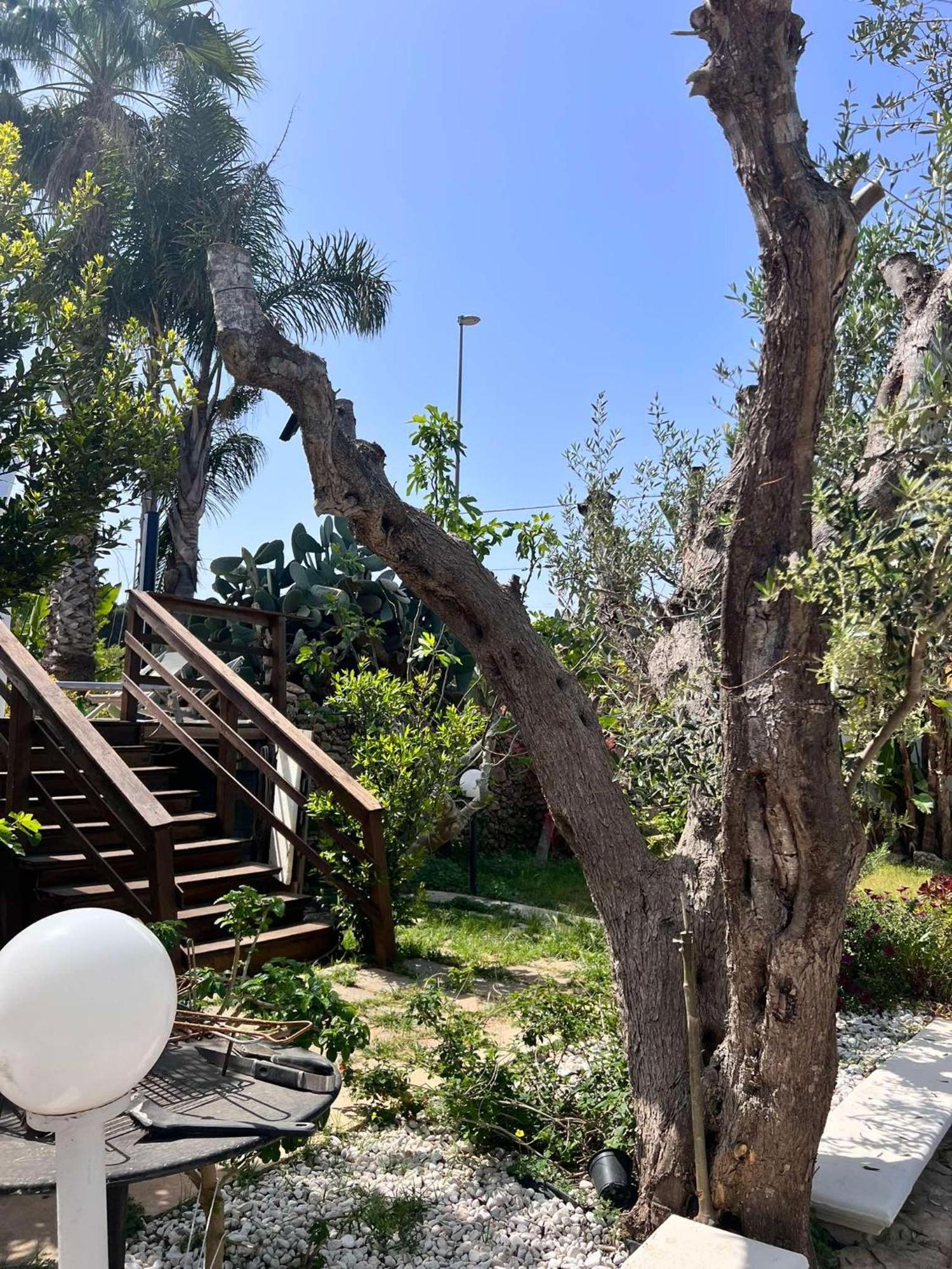 גאליפולי Villa Casa Vacanze Fiore מראה חיצוני תמונה